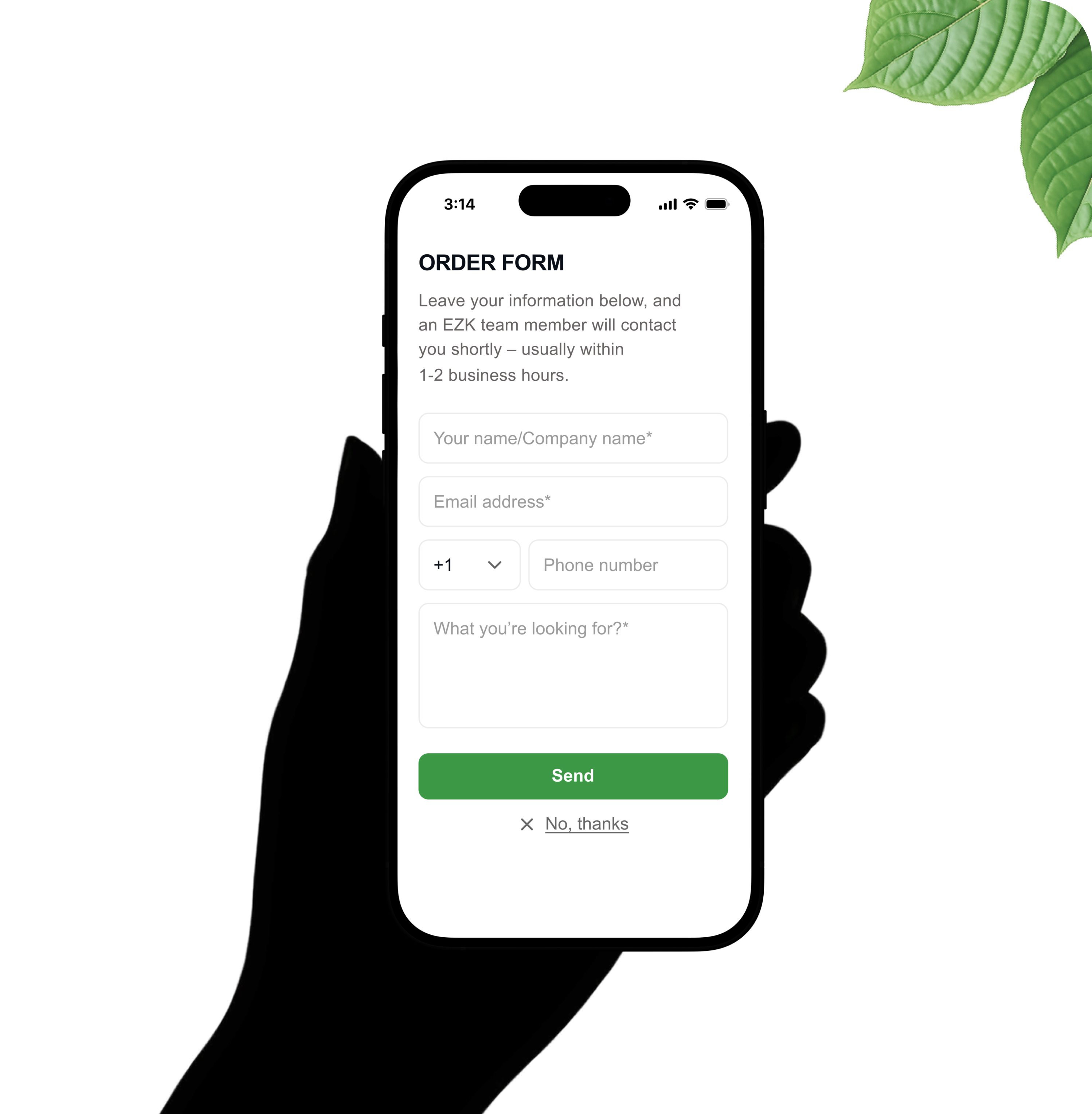 Hand holding phone — order form