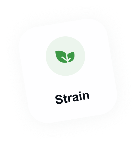 Strain
