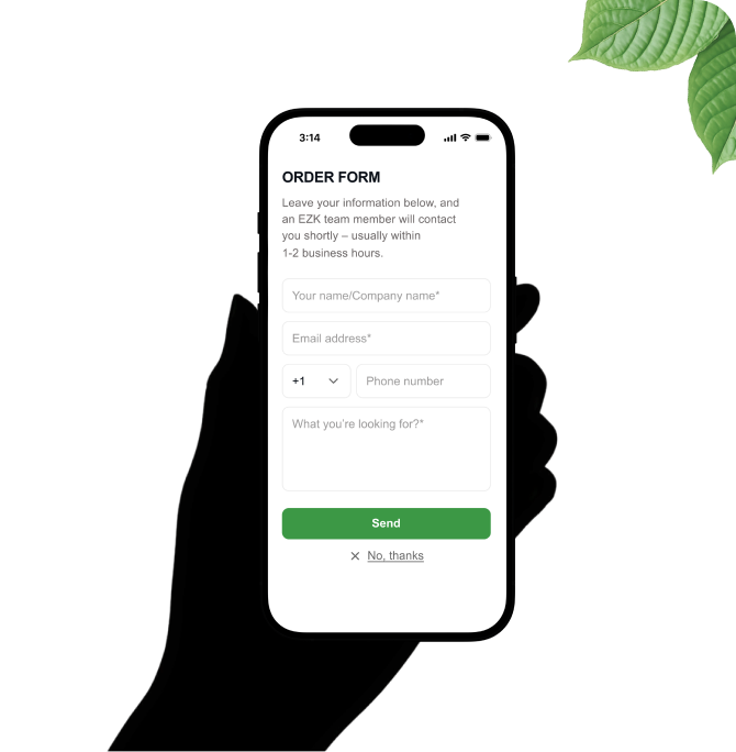 Hand holding phone — order form